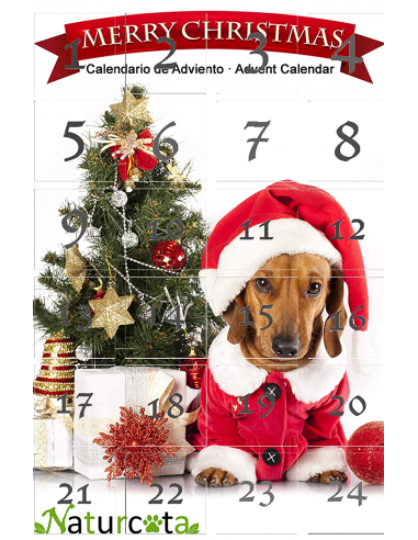 Calendario adviento Navidad perro