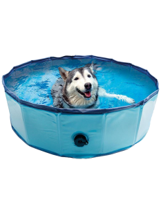 Piscina. Arquivet 2