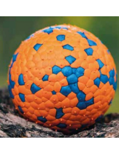 Pelota Bloom naranja ECO. M-pets