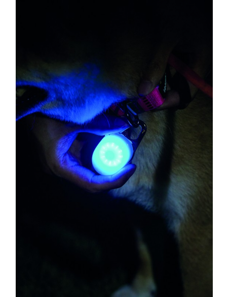 LED grande recargable USB. M-pets