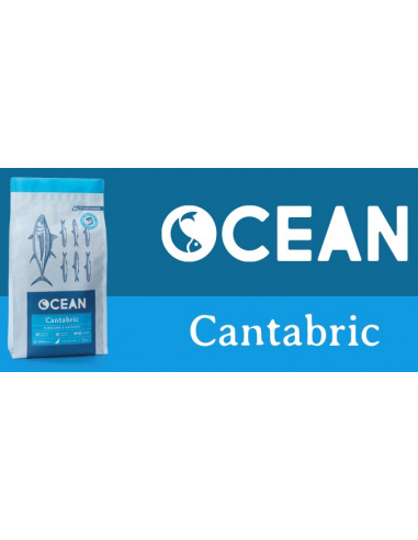 Alimentación OCEAN. Cantabric. Bonito del norte y anchoa cantábrica.