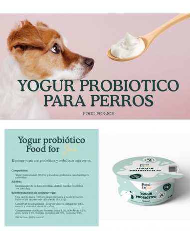 los perros pueden comer yogur yoplait