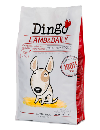 DINGO Lamb and Daily.