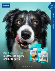 Veggident. Higiene dental 2