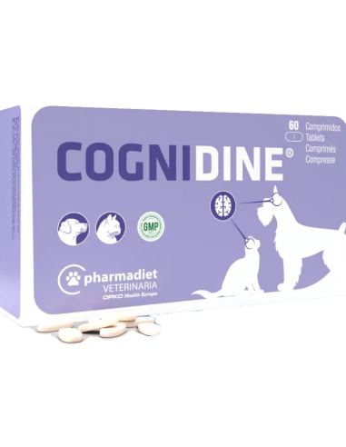 Cognidine (ayuda cognitiva. Neuroprotector). Perro y gato