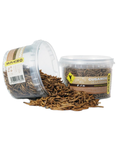 MiniOrycs Snack Gusanos de la harina 75gr. Roedores