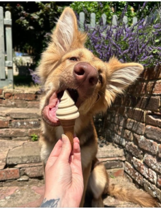 Helado cucurucho vainilla y... 2