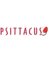 Psittacus