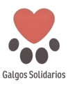 Galgos Solidarios