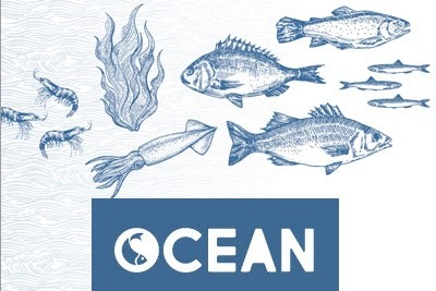 ¿Conoces Ocean Petfood?